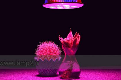لامپ رشد گیاه چیست